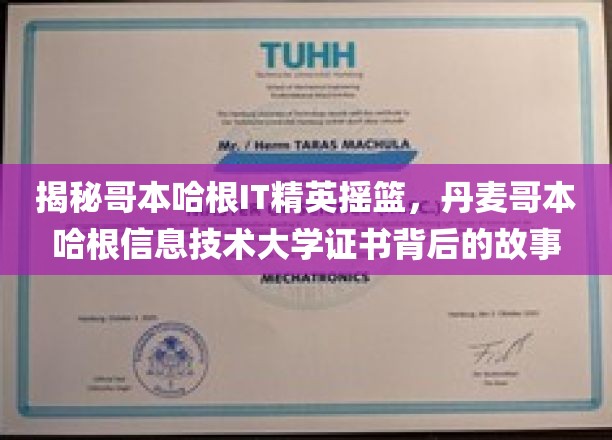 揭秘哥本哈根IT精英摇篮，丹麦哥本哈根信息技术大学证书背后的故事