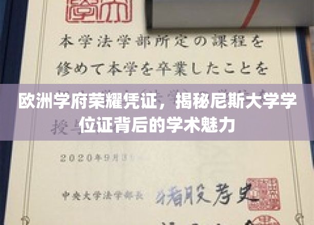 尼斯大学学位证，探寻欧洲名校荣耀背后的学术瑰宝