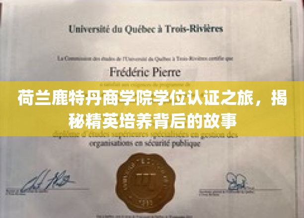 探索鹿特丹商学院，揭秘全球精英教育的奥秘之旅