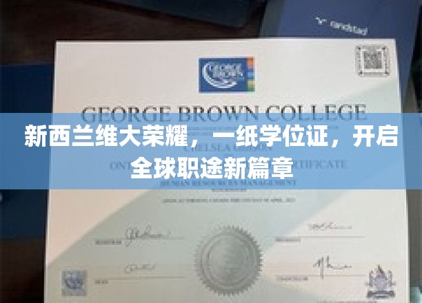 维大荣耀启航，学位证书助力世界职场新飞跃