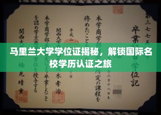 马里兰大学学位证背后的故事，探索全球名校学历认证奥秘