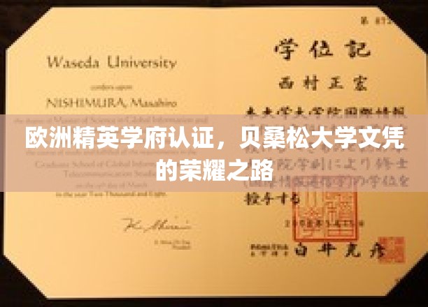 欧洲名校荣耀通行证，贝桑松大学学位的璀璨征程