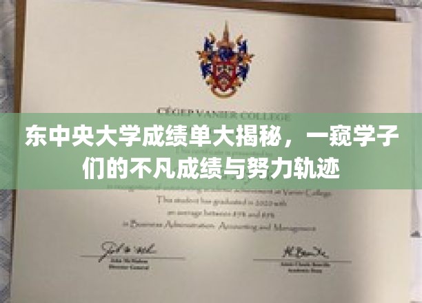 东中央大学学子成绩亮眼，揭秘背后的勤奋与成就之路