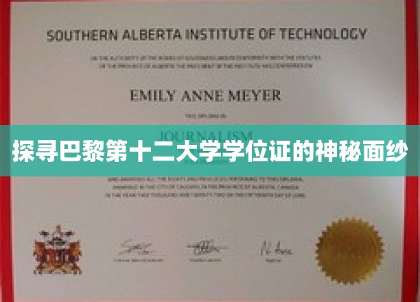 揭秘巴黎第十二大学学位证背后的非凡魅力