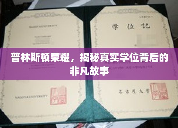 普林斯顿光环下的学位传奇，探寻学位背后的不凡历程