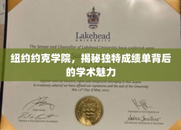 探寻纽约约克学院，非凡成绩单背后的学术风采