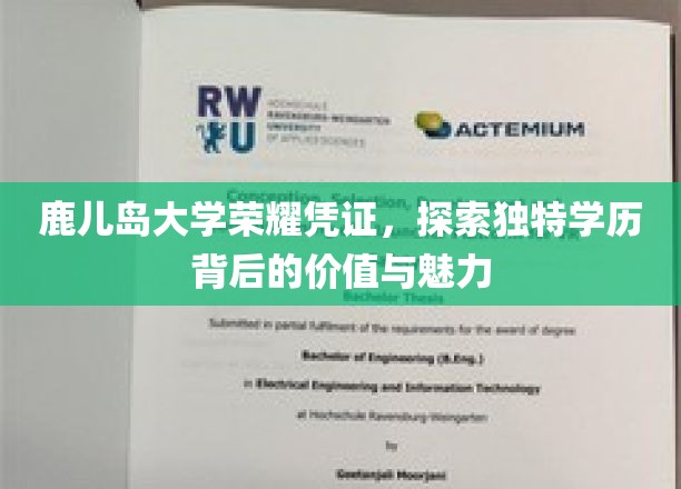 鹿岛荣耀，揭秘鹿儿岛大学学历的独特魅力与价值内涵