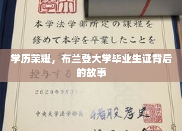 学历荣耀，布兰登大学毕业生证背后的故事