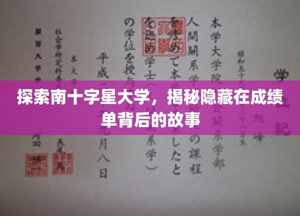 解码南十字星大学，揭开成绩单背后的神秘面纱