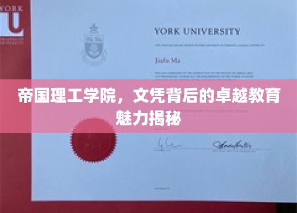 解码帝国理工，文凭背后的顶尖教育资源揭秘之旅