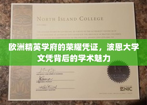 欧洲精英学府的荣耀凭证，波恩大学文凭背后的学术魅力