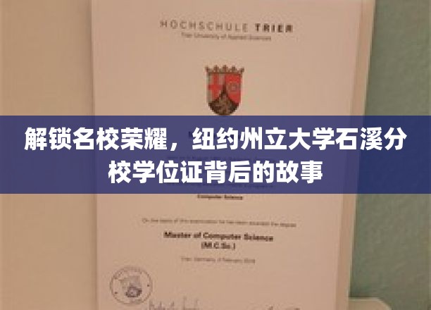石溪之光，探寻纽约州立大学荣耀背后的学位证奥秘