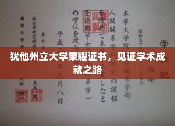 犹他荣耀证书映照，探寻学术巅峰的璀璨足迹