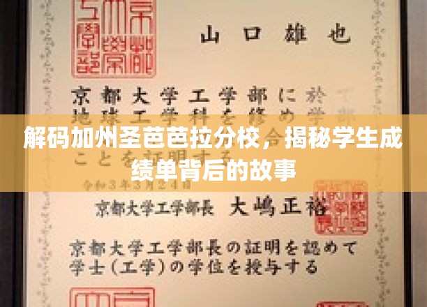 解码圣芭芭拉，一探加州分校成绩单背后的秘密世界