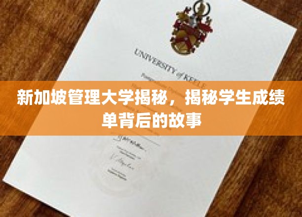 新加坡管理大学揭秘，揭秘学生成绩单背后的故事