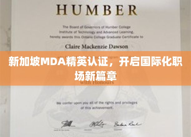 新加坡MDA精英认证，打造全球职场精英梦工厂