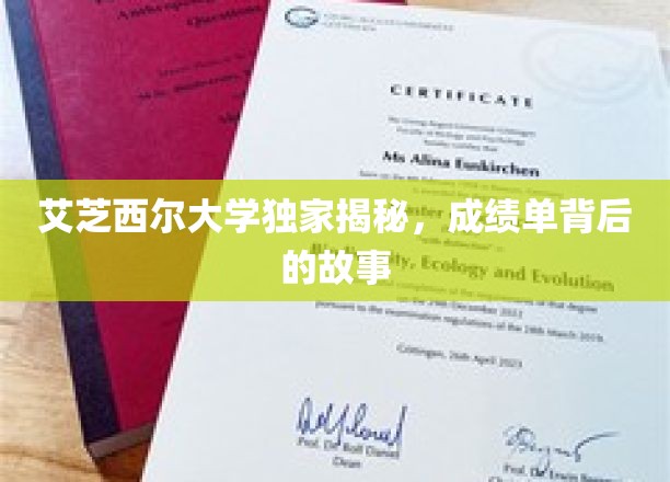 艾芝西尔大学深度解读，一探成绩单背后的奥秘