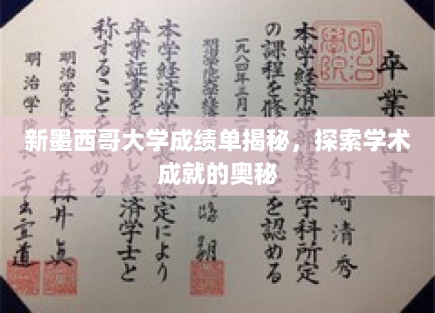 解码新墨西哥大学，揭开学术成就背后的神秘面纱