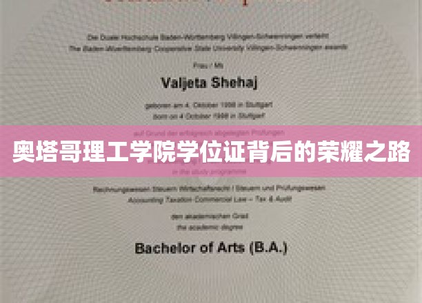 奥塔哥理工学院荣耀学位，探寻成就背后的非凡历程