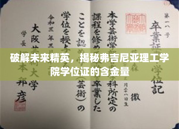 探索未来精英之路，一窥弗吉尼亚理工学院学位证的卓越价值
