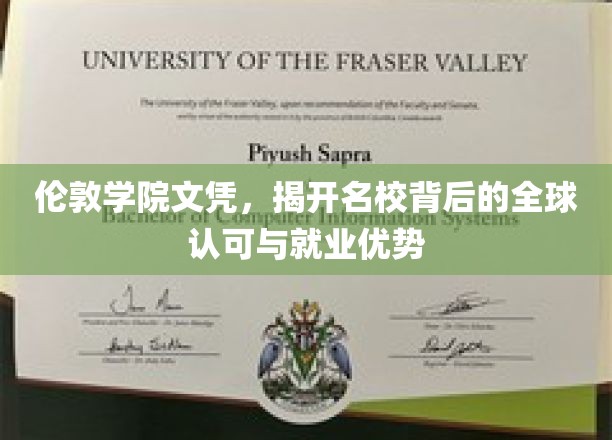 伦敦学院文凭，揭秘名校光环下的全球通行证与职场竞争力