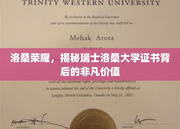 瑞士洛桑大学证书，解锁非凡学术成就的全球通行证
