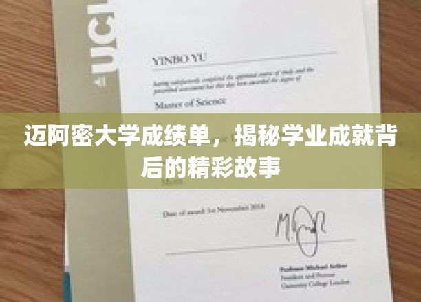 迈阿密大学学霸档案，揭开学业辉煌背后的传奇篇章
