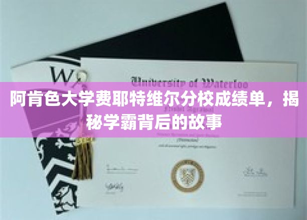 探寻阿肯色大学学霸背后的辉煌历程
