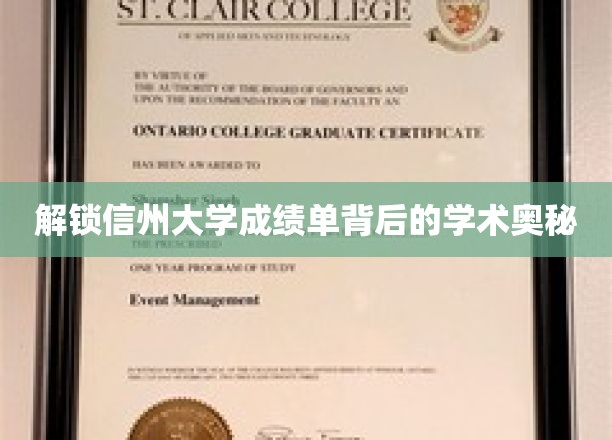 探秘信州大学成绩单，揭开学术成就的神秘面纱
