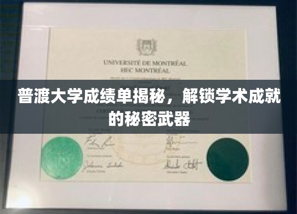 解码普渡学霸秘籍，揭秘成绩单背后的学术高飞之道