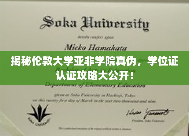 揭秘伦敦大学亚非学院真伪，学位证认证攻略大公开！
