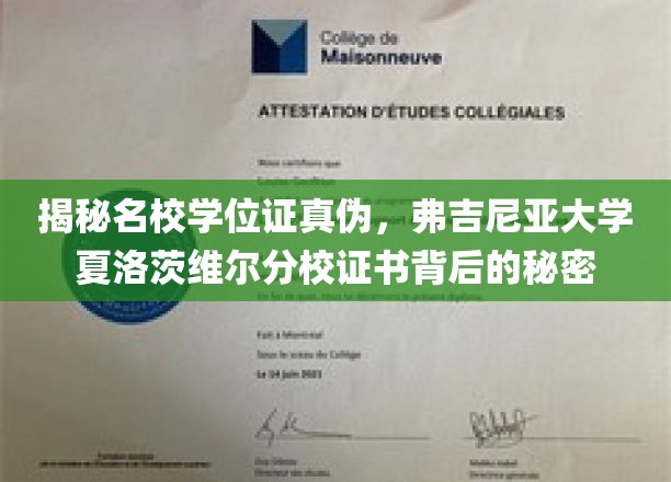 揭开弗大文凭之谜，夏洛茨维尔分校学位证背后的真实面纱