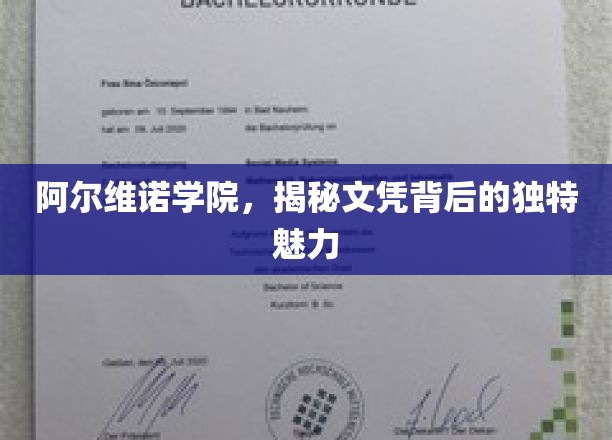 探寻阿尔维诺学院文凭的独特风采