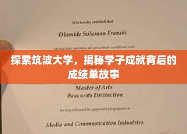 筑波学子辉煌背后，揭秘筑波大学成绩单背后的秘密之旅