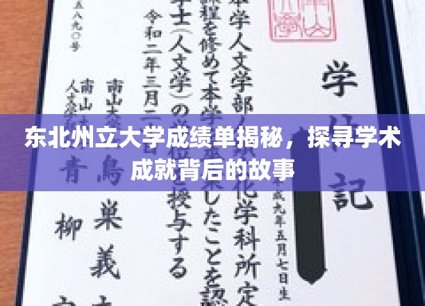 解码东北州立大学，揭秘学霸背后的学术传奇