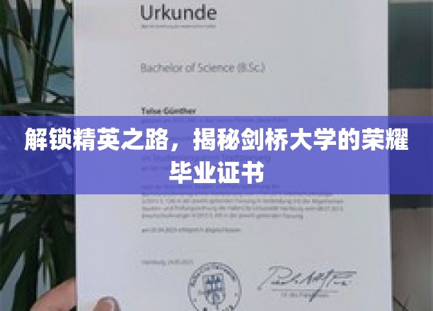精英摇篮揭秘，剑桥大学证书背后的辉煌传奇