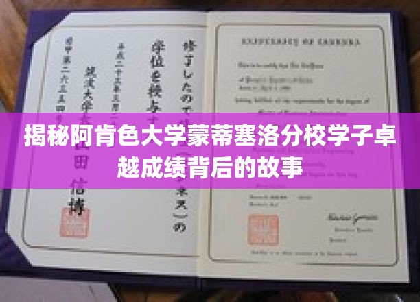 阿肯色大学蒙蒂塞洛分校学子，揭秘学霸背后的不凡之路