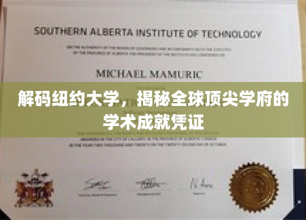 纽约大学荣耀背后，探寻全球精英教育的独特印记
