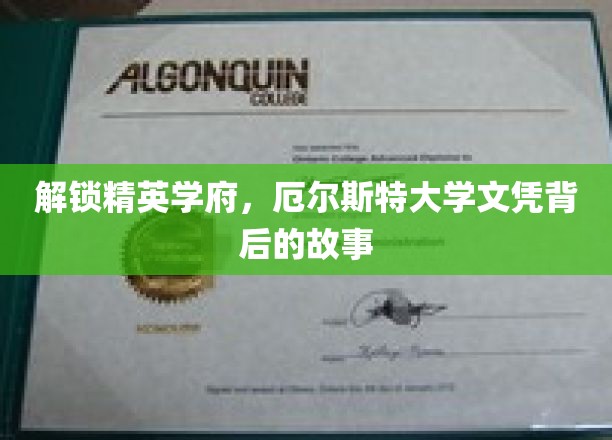 探索精英学府，揭秘厄尔斯特大学文凭背后的故事