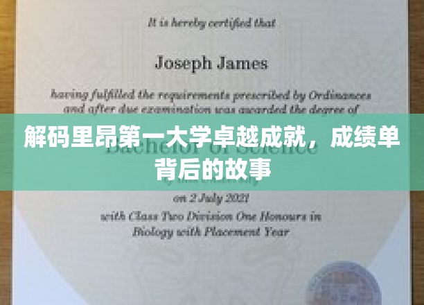 里昂第一大学荣耀揭秘，揭秘非凡成绩单背后的传奇历程