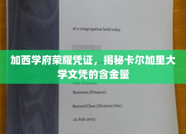 加西学府荣耀揭秘，卡尔加里大学文凭背后的价值与影响力