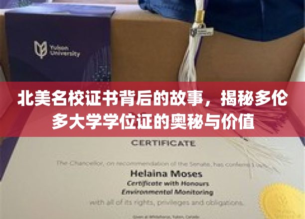 探索多伦多大学学位证，北美名校证书背后的传奇故事