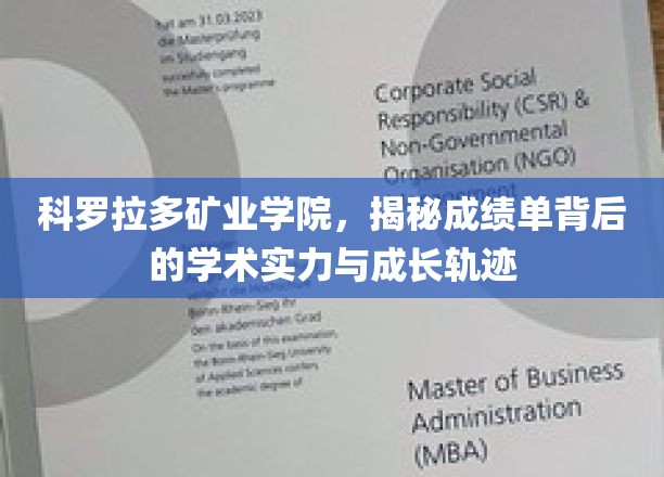 科罗拉多矿业学院，揭示成绩单背后的学术实力与成长轨迹
