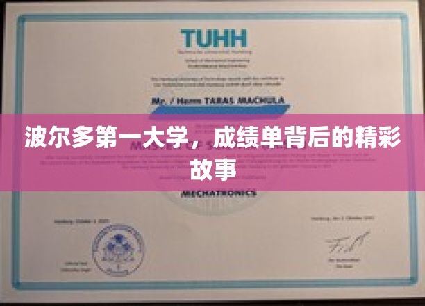 波尔多第一大学，揭开成绩单背后的璀璨传奇