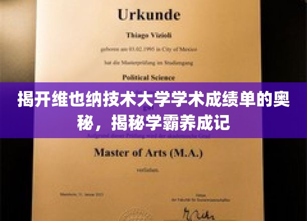 探秘维也纳技术大学学霸之路，揭开卓越成绩单背后的秘密