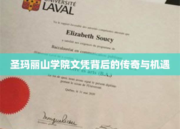 解码圣玛丽山学院文凭，隐藏的传奇故事与无限机遇
