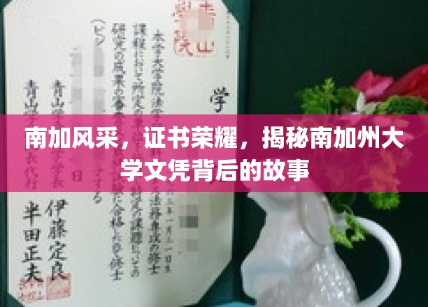 南加名校荣耀解码，探寻UCLA文凭背后的传奇之旅