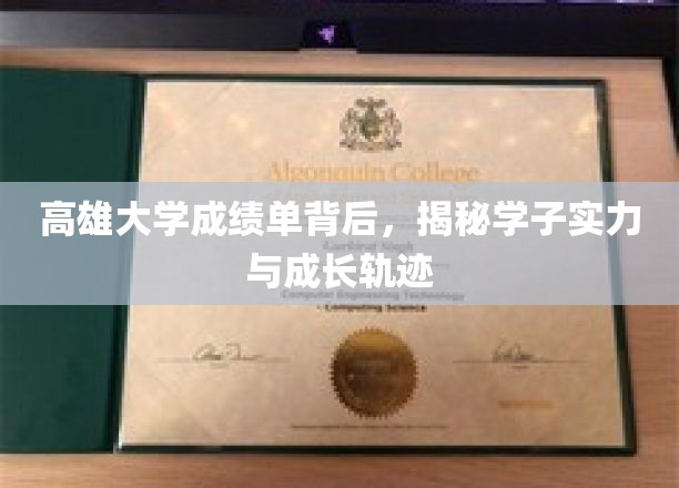 高雄学子成就档案，揭秘实力派成长的秘密之路