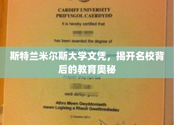 探索斯特兰米尔斯大学，名校光环下的教育秘密之旅