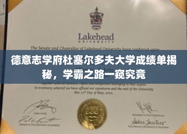 杜塞尔多夫大学学霸养成记，揭秘德意志学府高分背后的秘密